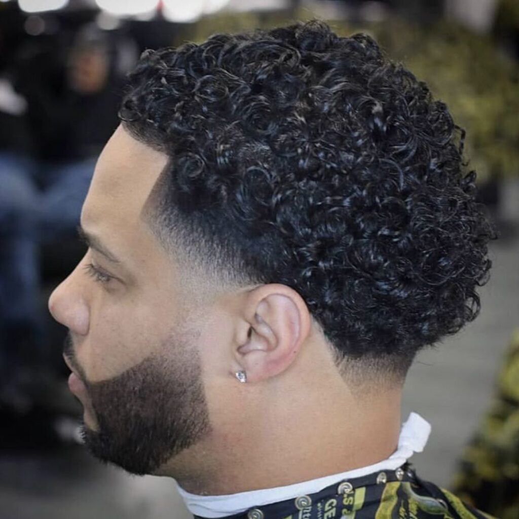 curly corte taper fade